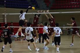 2026 WBC：美国队队长贾吉表示，面对大谷翔平领衔的日本队，美国队必须拿出 120% 的实力